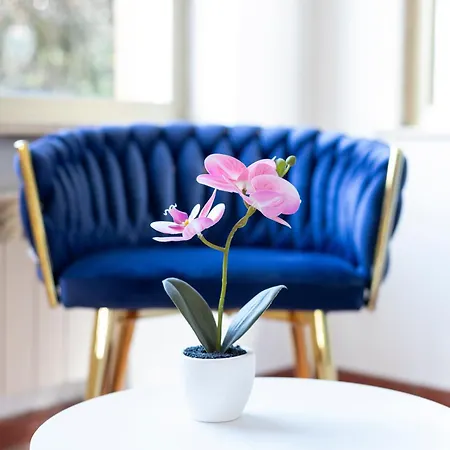Firmamento Royal House Bed & Breakfast Rocca Priora (Rome)